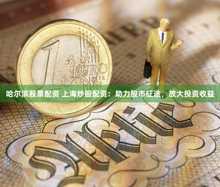 哈尔滨股票配资 上海炒股配资：助力股市征途，放大投资收益