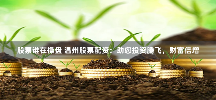 股票谁在操盘 温州股票配资：助您投资腾飞，财富倍增